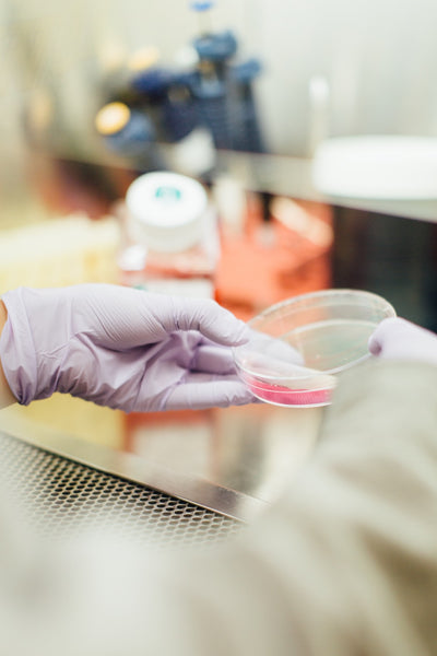 The Importance of Cell Culture Ingredients