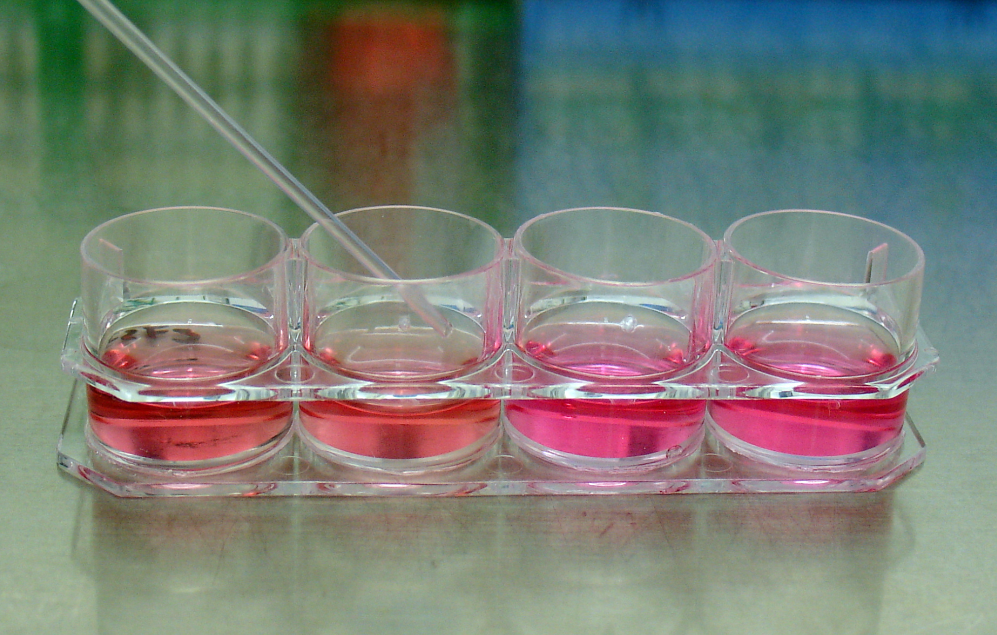 Defined Bioscience