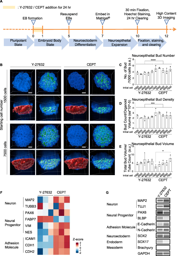 Defined Bioscience