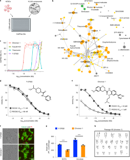 Defined Bioscience