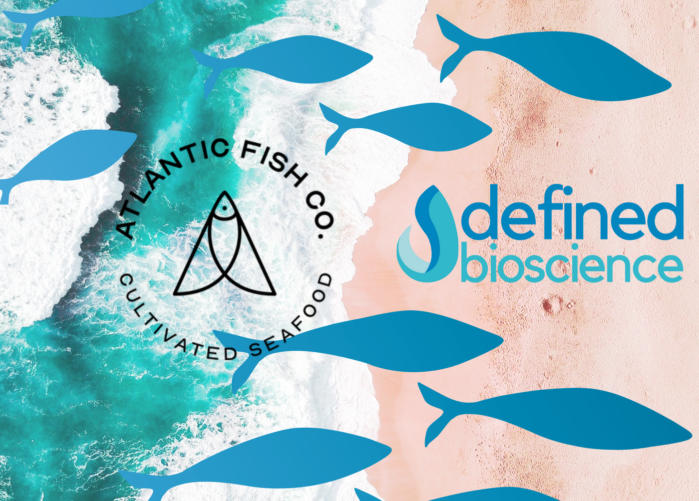 Defined Bioscience and Atlantic Fish Co. Announce Strategic Collaboration to Advance Cultivated Seafood