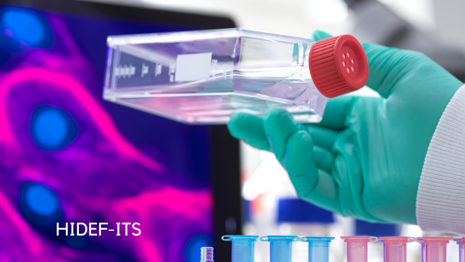 Improve Cell Culture with HiDef® ITS: A Cell Culture Supplement For Reducing Animal-Derived Serum Use
