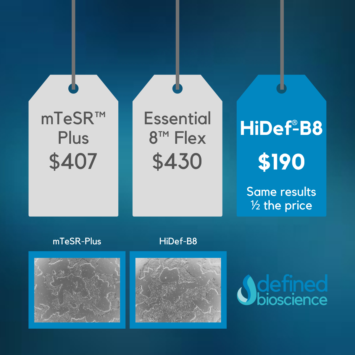 A Practical Comparison of Defined iPSC Growth Media: HiDef®-B8, mTeSR™ Plus, and Essential 8™ Flex