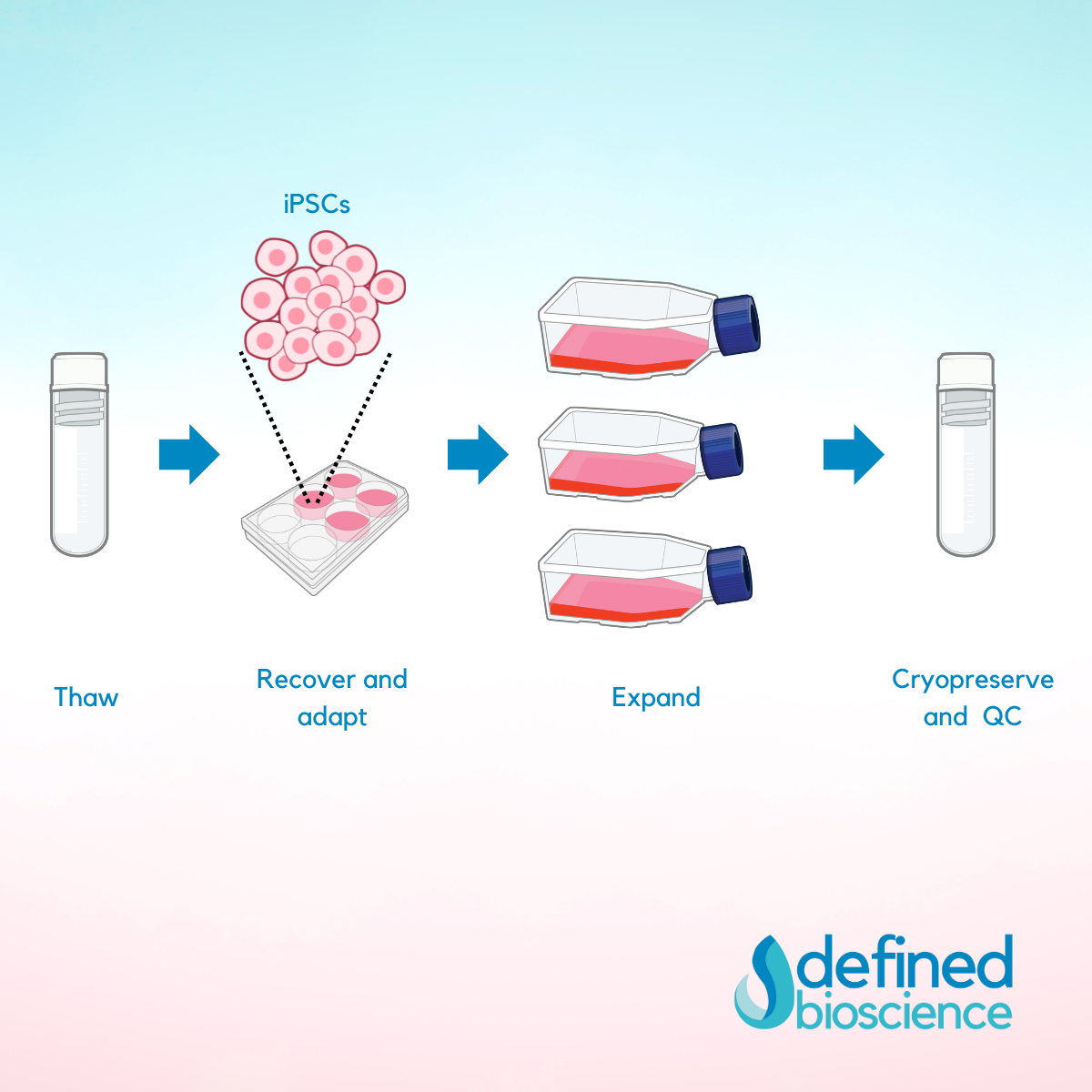 Clinically Available hPSC Lines and the Growing Need for Defined, Scalable Workflows