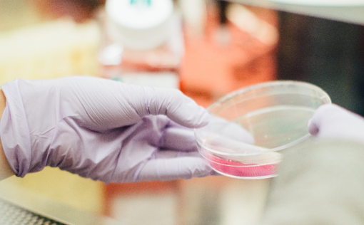 The importance of basal media for stem cell culture.