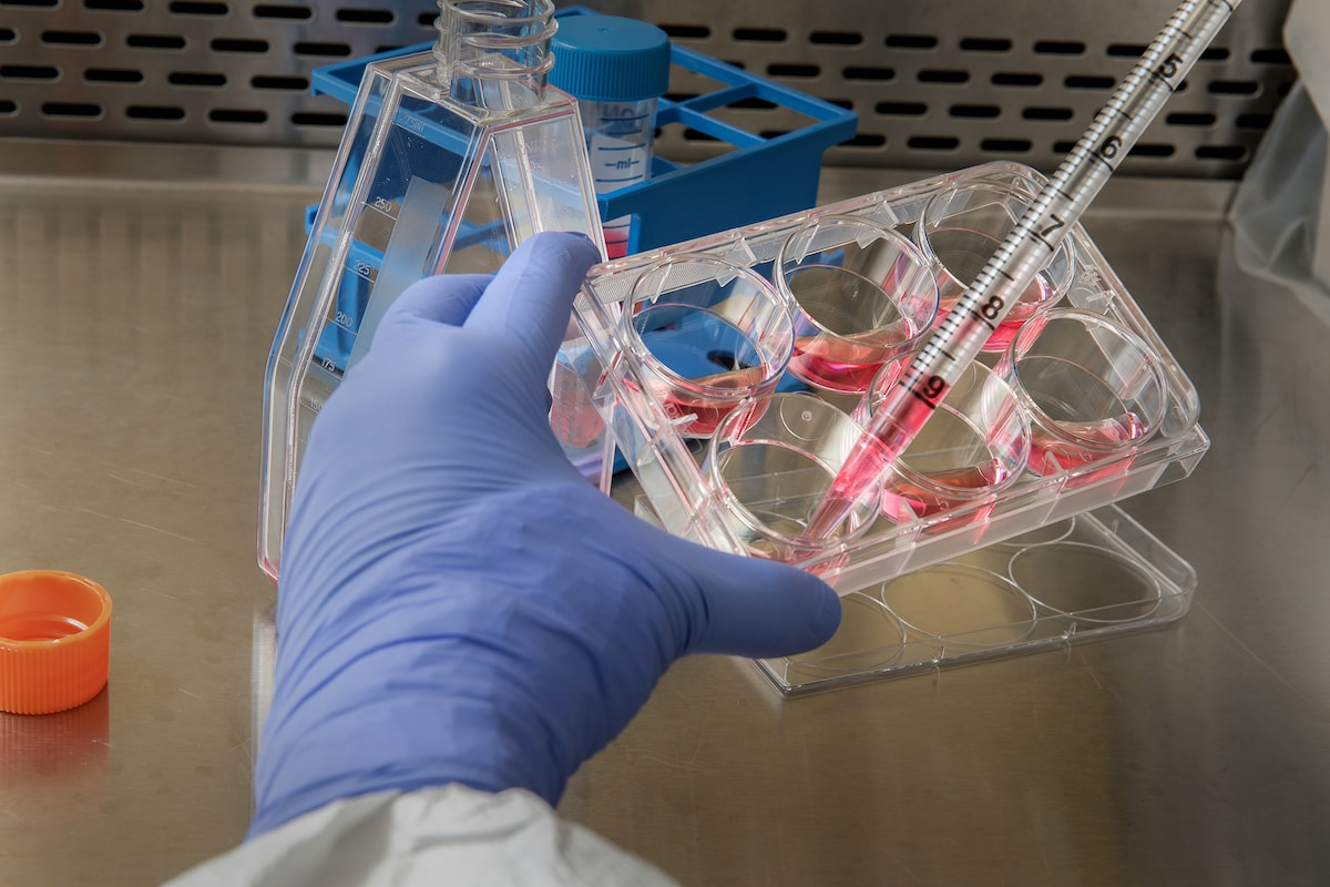Highly optimized stem cell medium for weekend-free cell maintenance