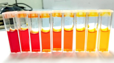 The Impact of Phenol Red in Cell Culture and the Advantages of HiDef-B8 Medium Supplement