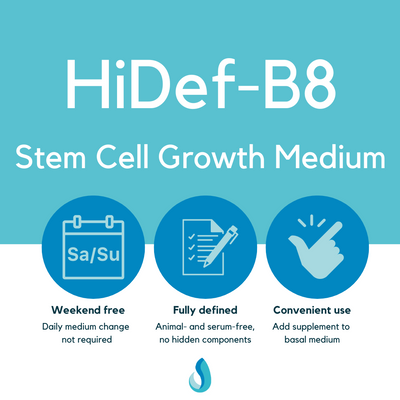 Stem Cell Growth Medium