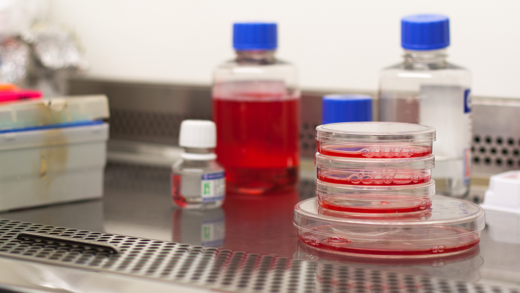 Defined Bioscience