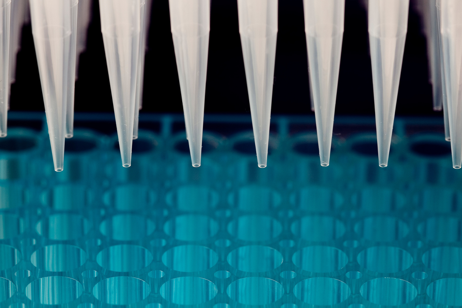 Defined Bioscience