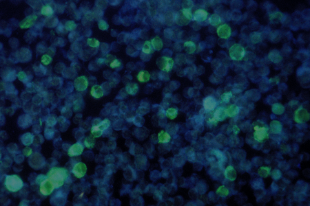 Defined Bioscience