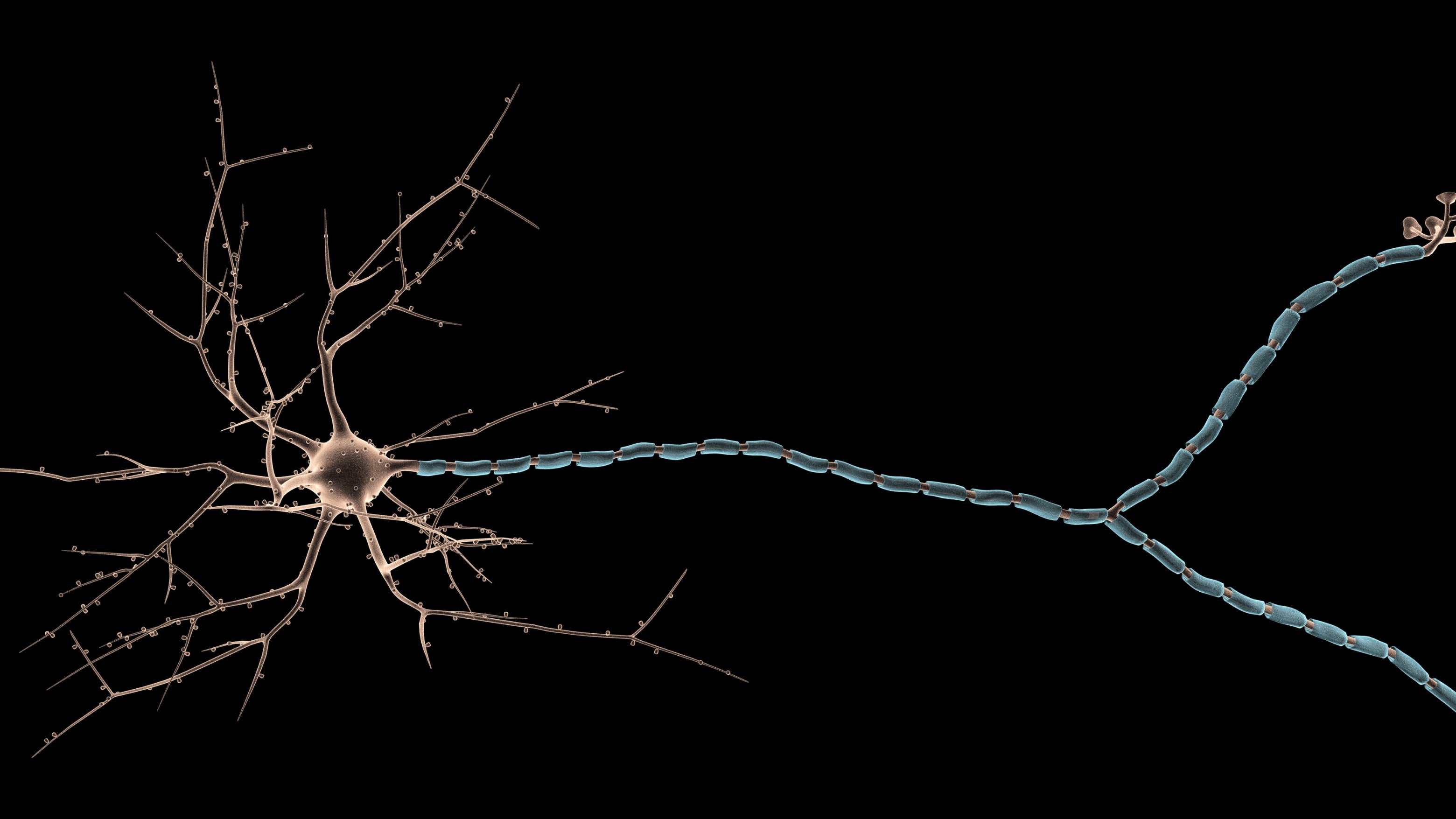 Defined Bioscience