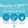 Ready-CEPT™ Cell Viability Enhancer