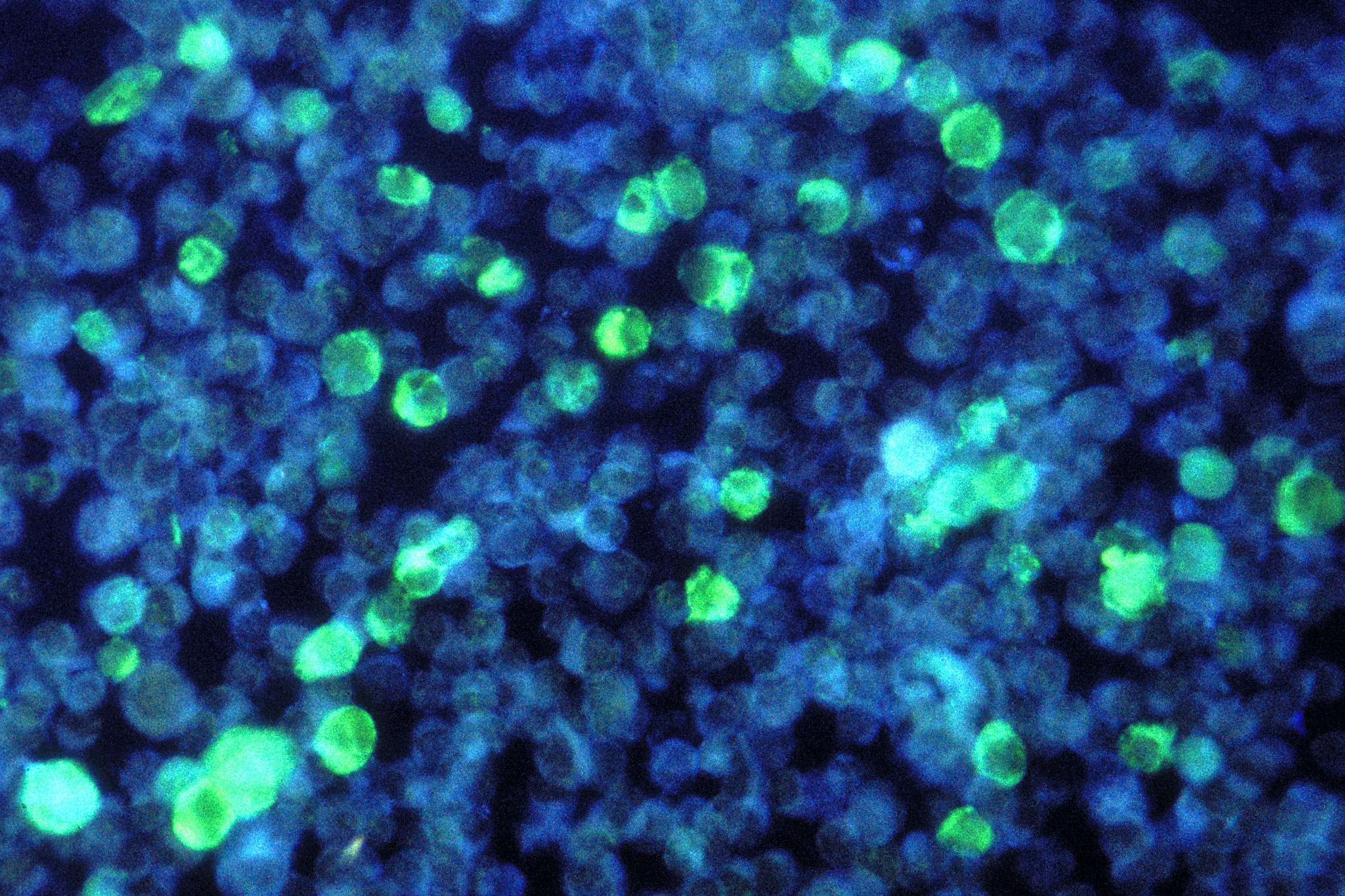 Defined Bioscience