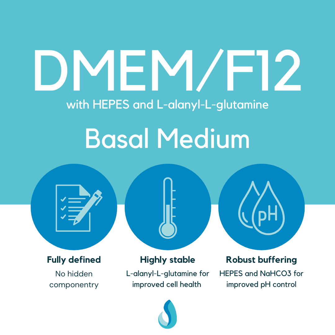 Infographic highlighting applications of DMEM/F12 Basal Medium in stem cell research and therapy.