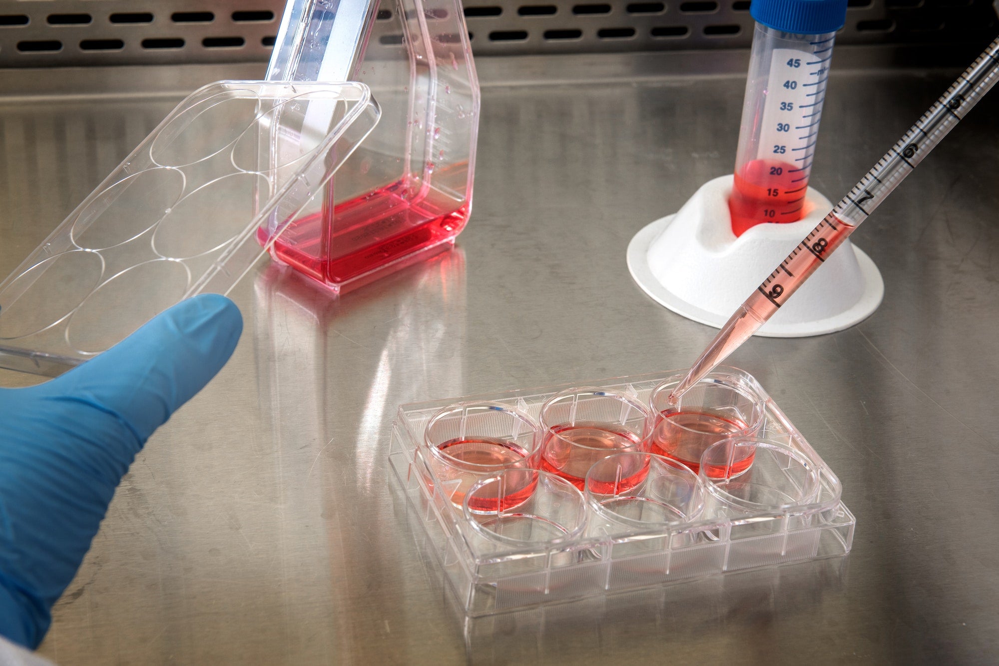 Defined Bioscience