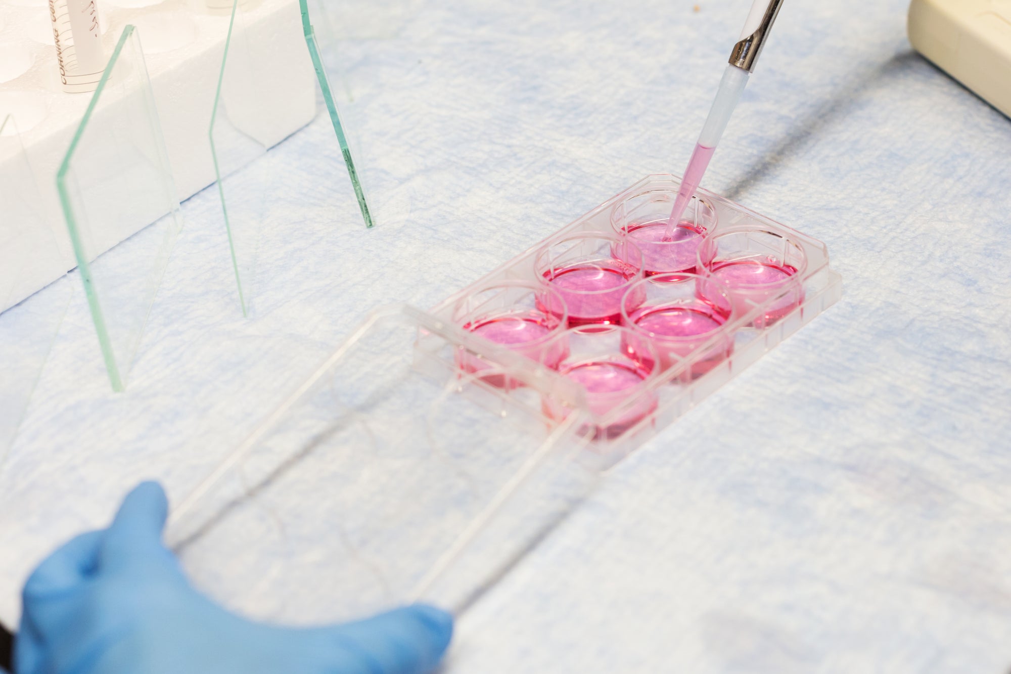 Defined Bioscience