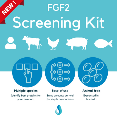 FGF2 Screening Kit